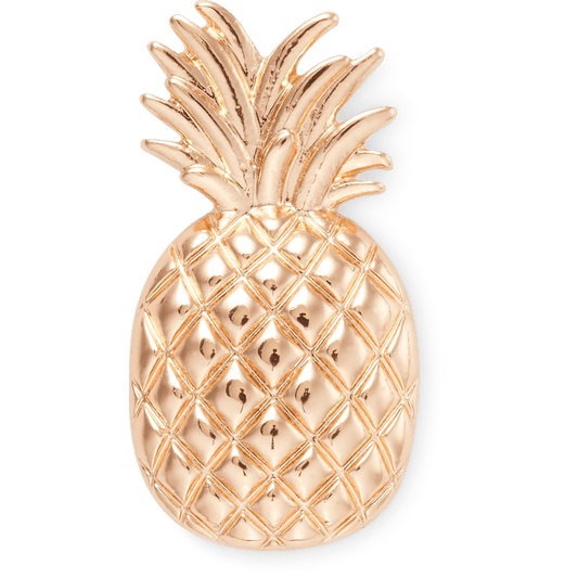 Crocs Best Price Gold Pineapple Jibbitz Shoe Charm