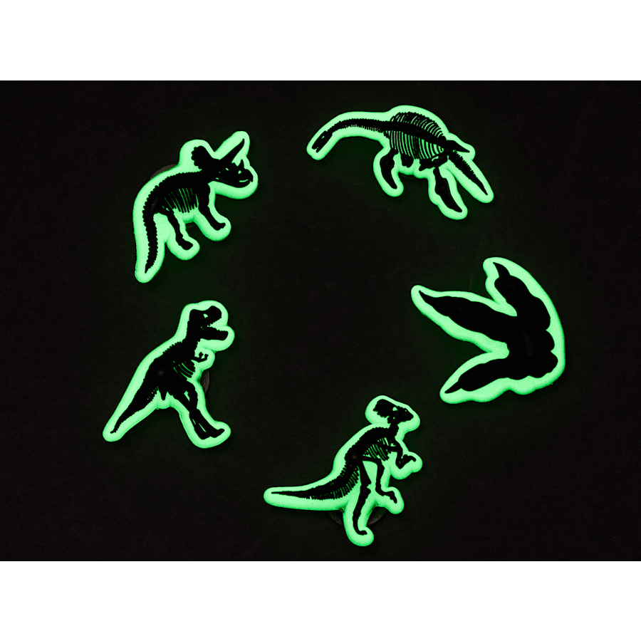 Crocs Trusted Glow In The Dark Dino 5 Pack Jibbitz Shoe Charm