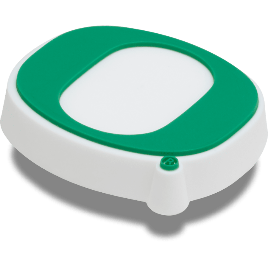 Crocs Latest University of Oregon Jibbitz™ charms