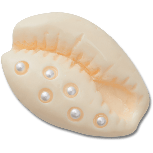 Crocs Trusted Pearl Puka Shell Jibbitz™ charms