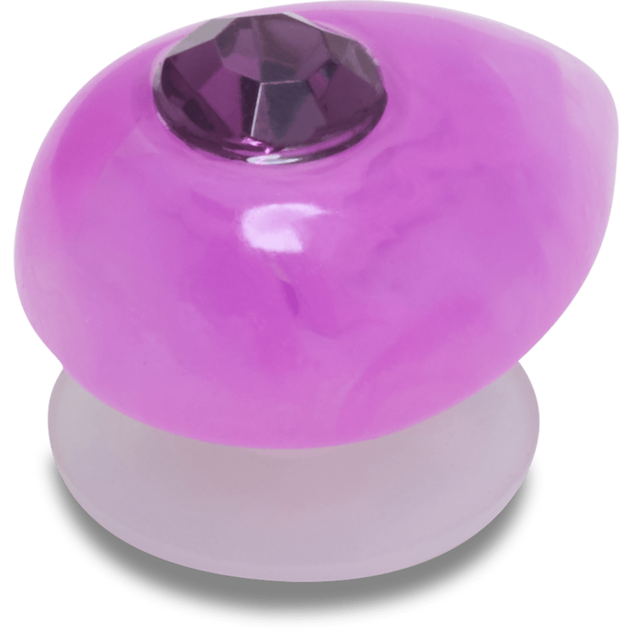 Crocs Classic Amethyst February Birthstone Collection Jibbitz™ charms