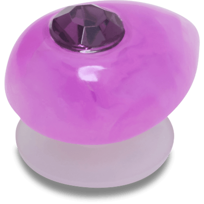 Crocs Classic Amethyst February Birthstone Collection Jibbitz™ charms
