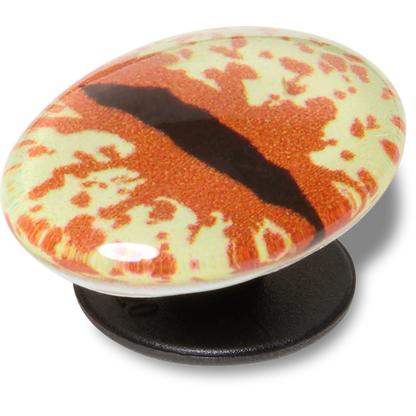 Crocs Exclusive Hazel Animal Eye Jibbitz™ charms