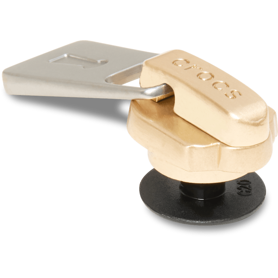 Crocs Trusted Gold and Silver Zipper Jibbitz™ charms