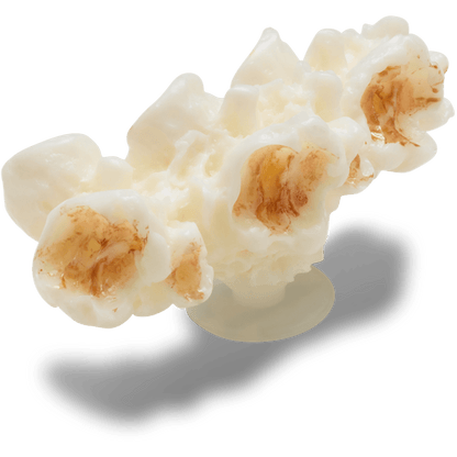 Crocs Latest Realistic Popcorn 2 Jibbitz™ charms