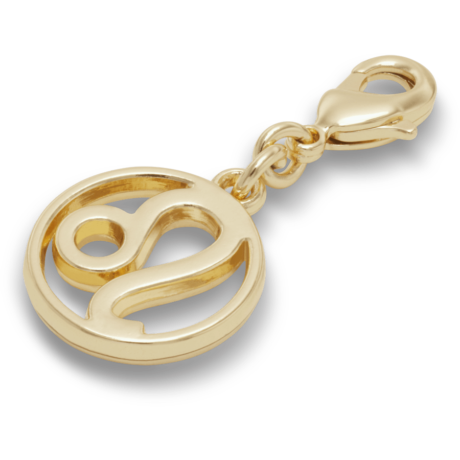 Crocs Special Offer Leo Charm Jibbitz™ charms