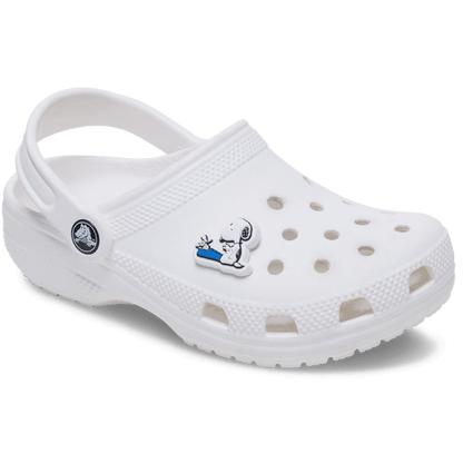 Crocs Sale Jibbitz Shoe Charm