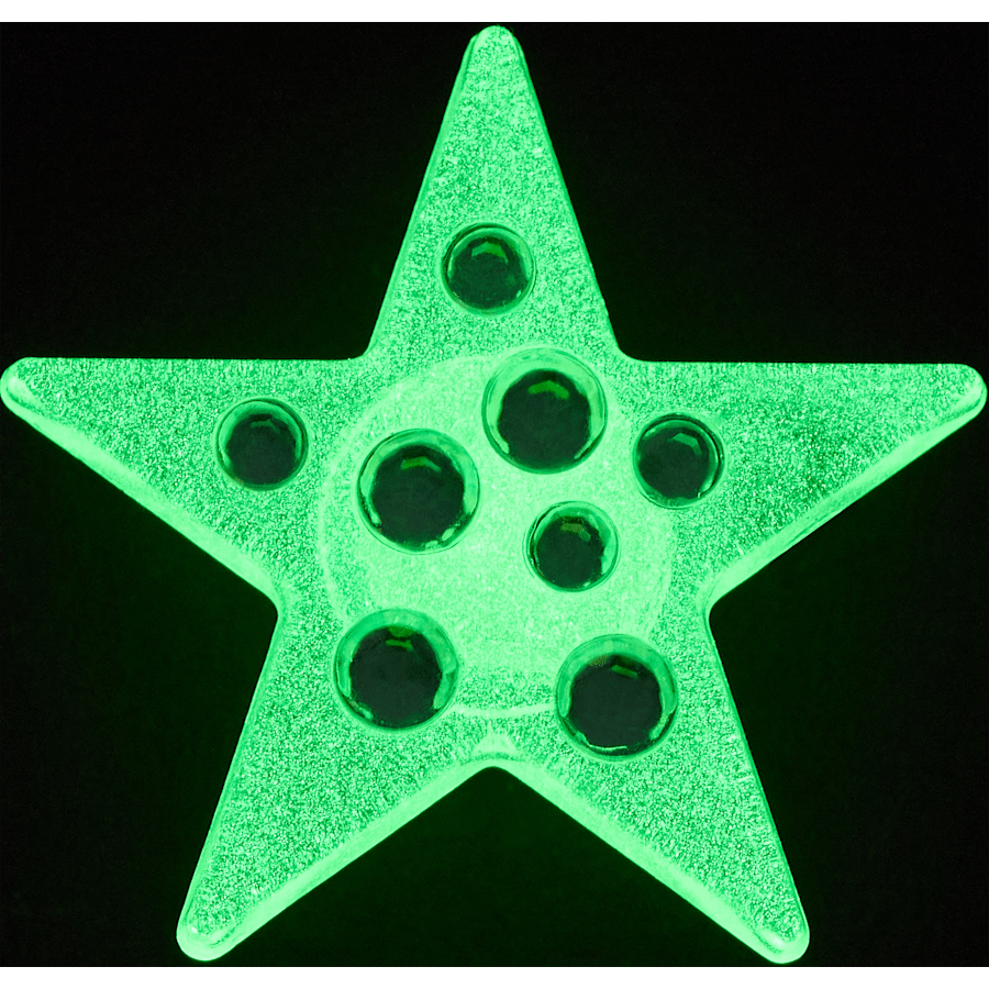 Crocs Premium Green Gem Star Jibbitz™ charms